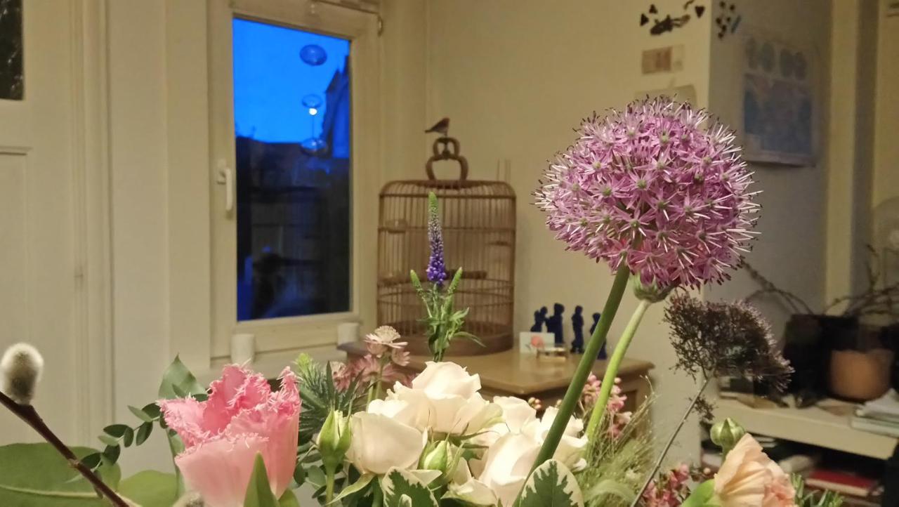 Rachel Bed & Breakfast Brugge Ngoại thất bức ảnh