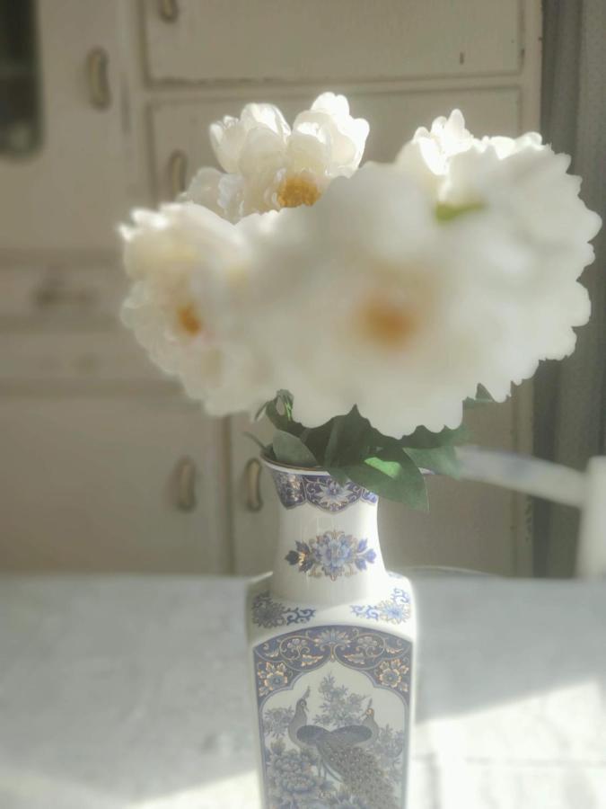Rachel Bed & Breakfast Brugge Ngoại thất bức ảnh